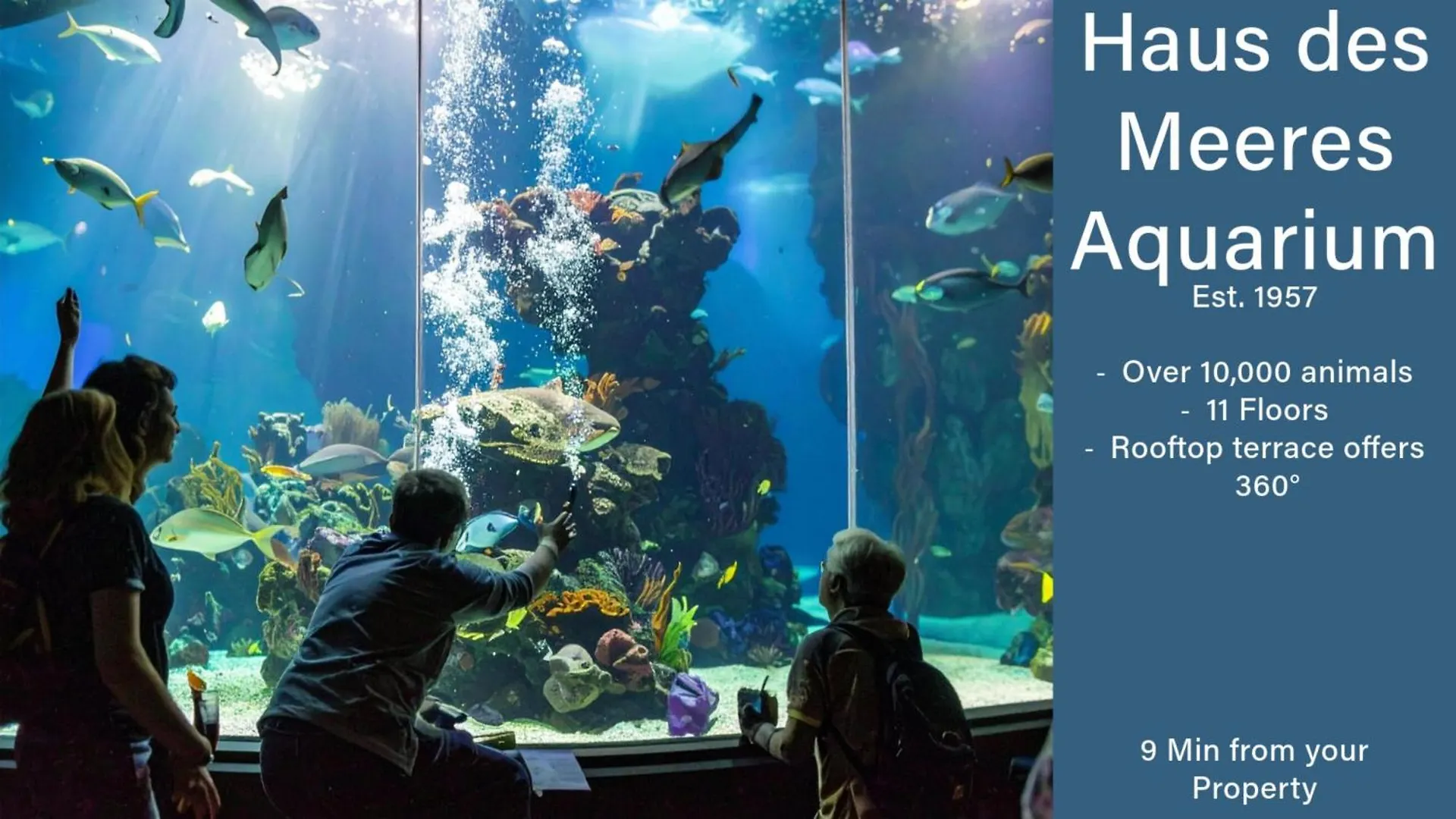 1 Aprt & 5 Stylish Hotel Rooms, Comfort & Convenience Combined Vienna Appartamento